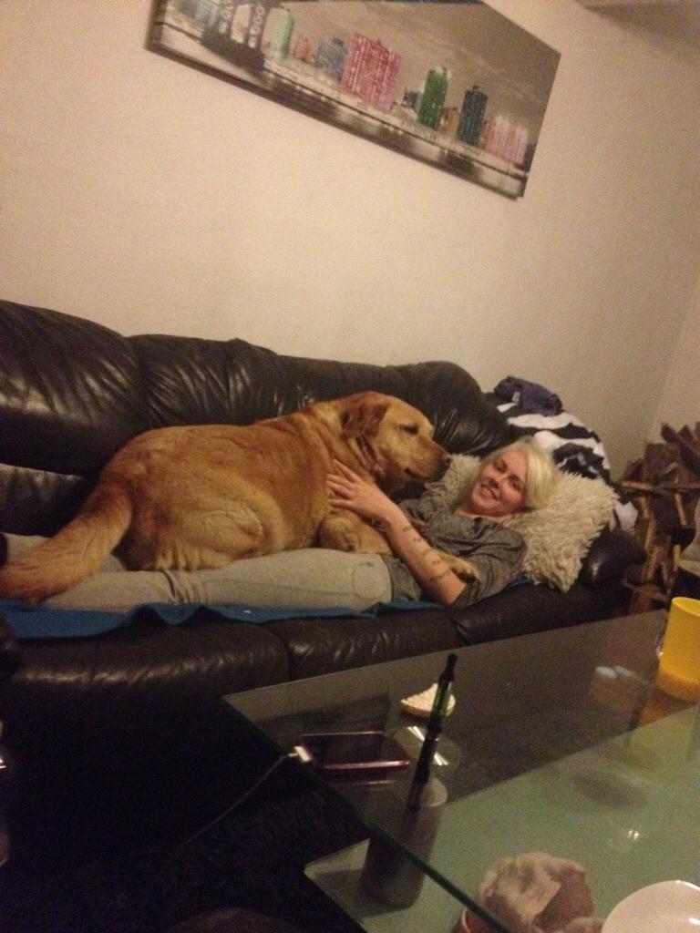 Blanding af racer Diego  billede 12