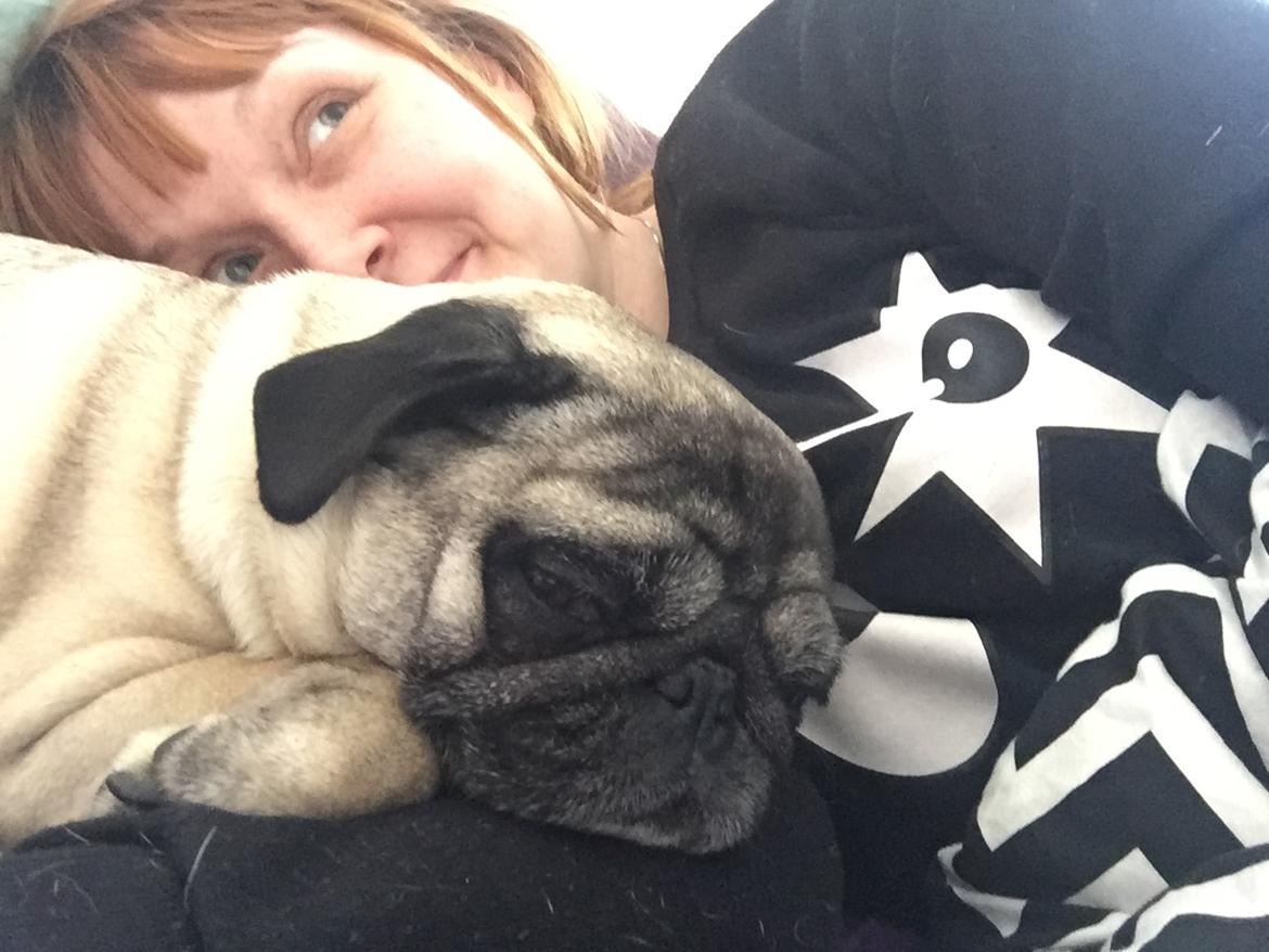 Mops Celina billede 4