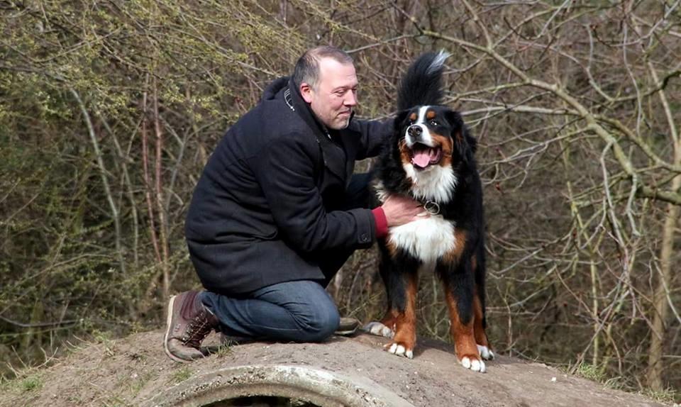 Berner sennenhund Balder billede 9