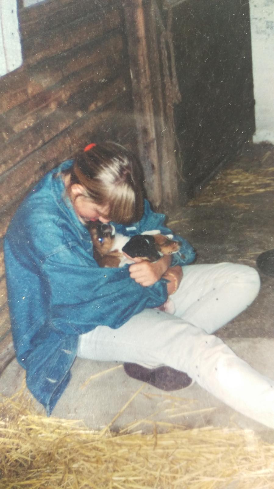 Glathåret foxterrier Jessie - 9 Juli 1993- 26 august 2006 - Juli 1993 Et kys der ændrede mit liv for altid. Da jeg valgte at Jessie skulle med hjem og med et var min skæbne lagt ud.  billede 33