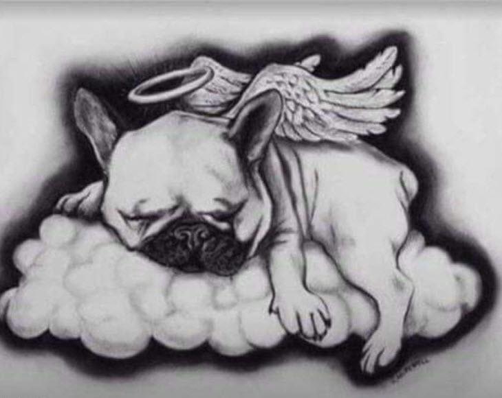 Fransk bulldog ~SOFFIE~ <3Himmelhund<3 billede 1