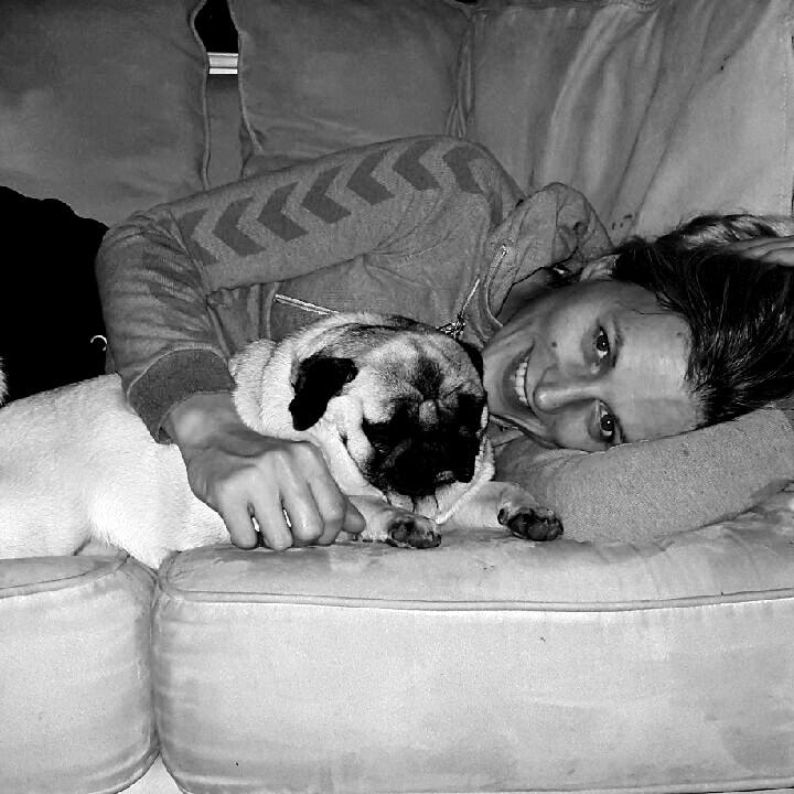 Mops Lykkedals Isabella billede 2