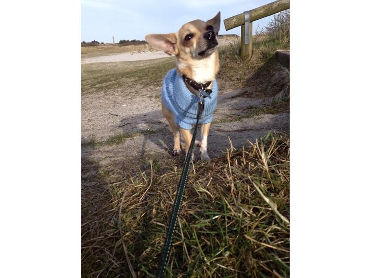 {{currentPhoto.altText}} billede {{currentPhoto.number}}