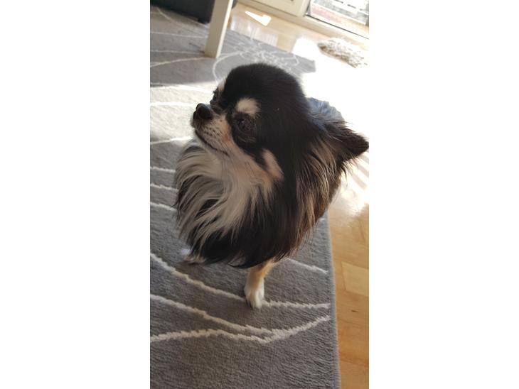 {{currentPhoto.altText}} billede {{currentPhoto.number}}