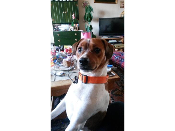 {{currentPhoto.altText}} billede {{currentPhoto.number}}