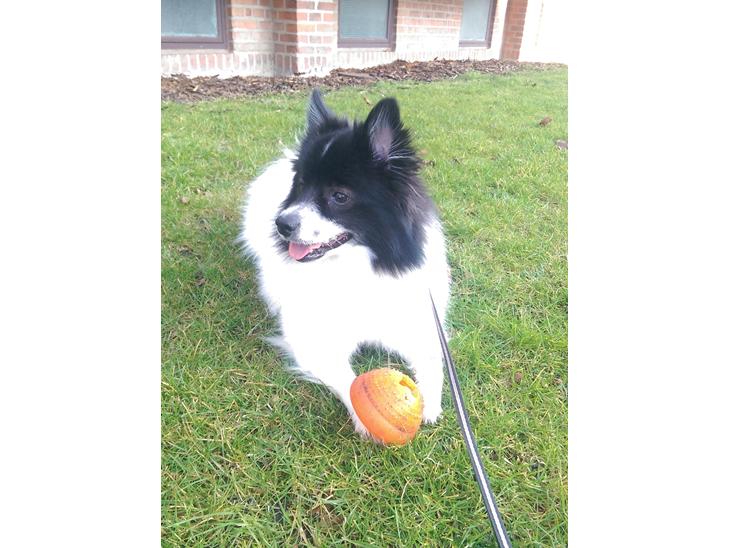 {{currentPhoto.altText}} billede {{currentPhoto.number}}