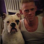 Olde english bulldogge Junior