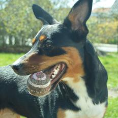 Blanding af racer Emma