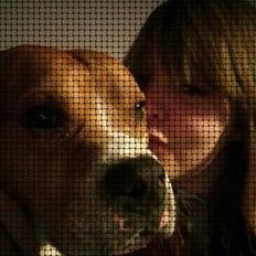 Blanding af racer Bobby