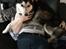 Siberian husky Diva