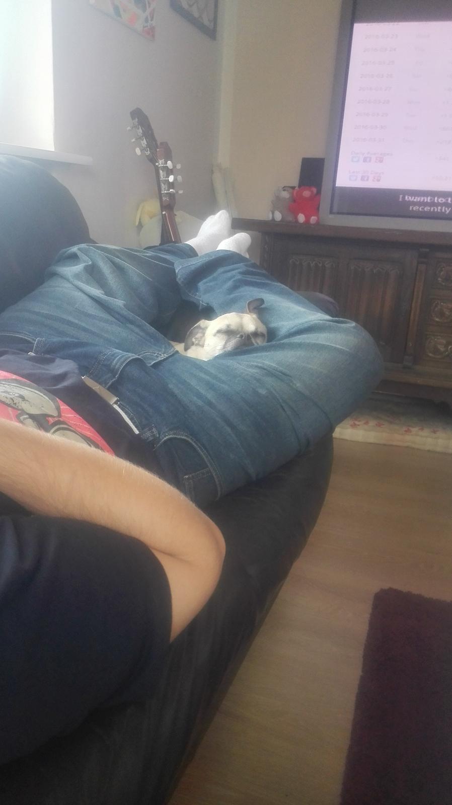 Blanding af racer Mogens billede 6