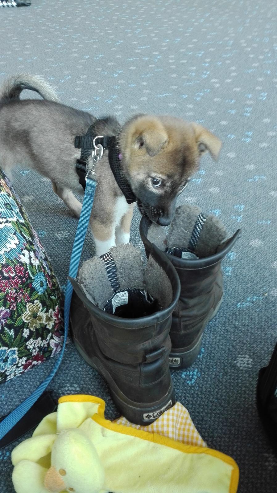 Kishu Hakuzan Ryousou Miyako billede 2