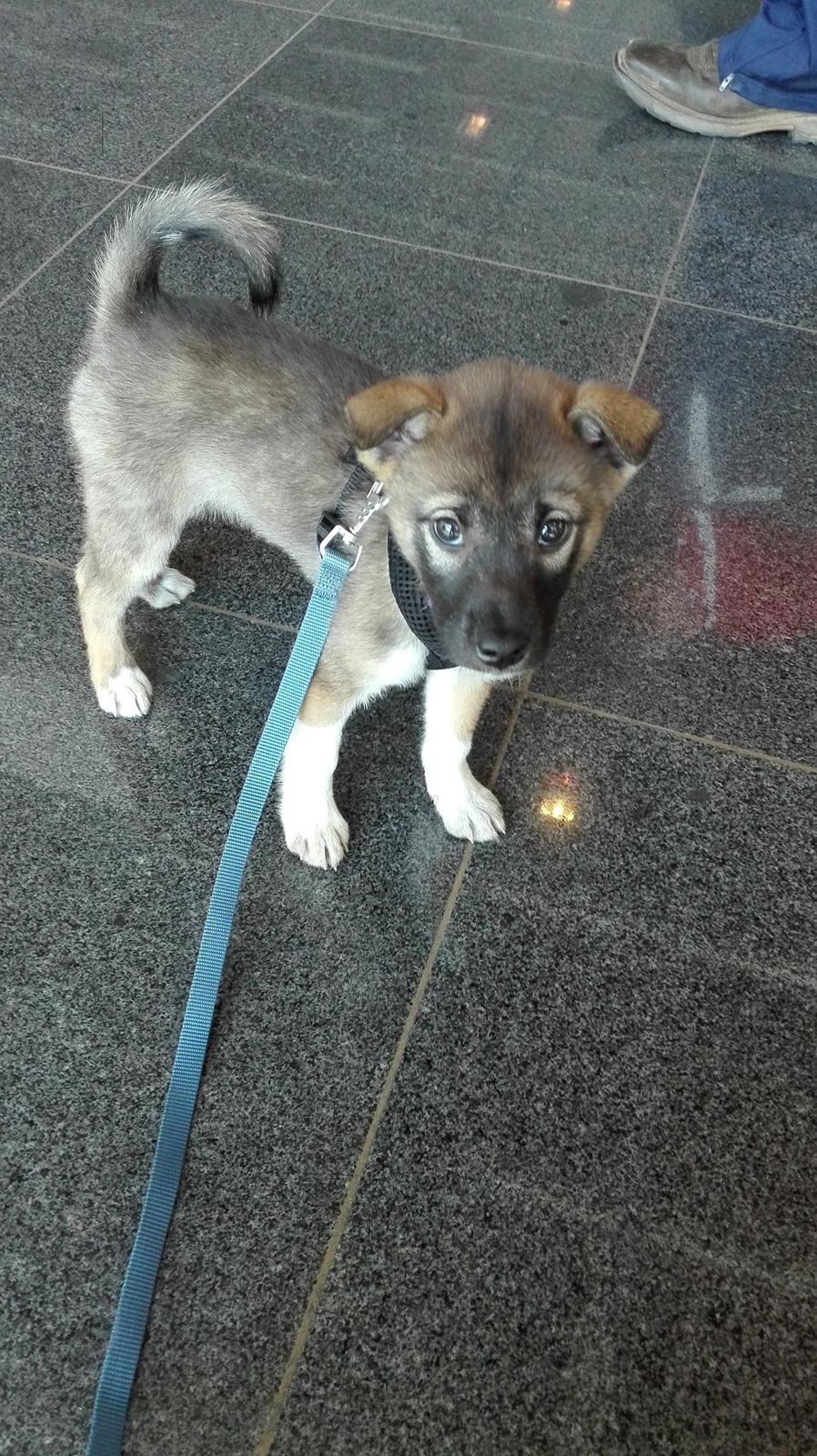 Kishu Hakuzan Ryousou Miyako billede 3