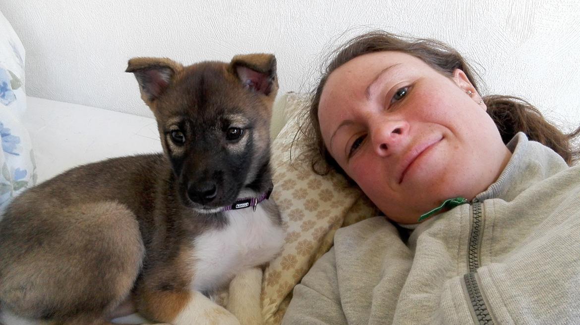 Kishu Hakuzan Ryousou Miyako billede 8