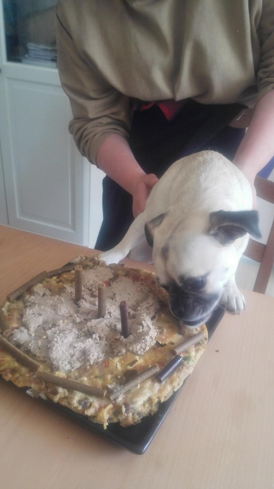 Blanding af racer Mogens billede 20