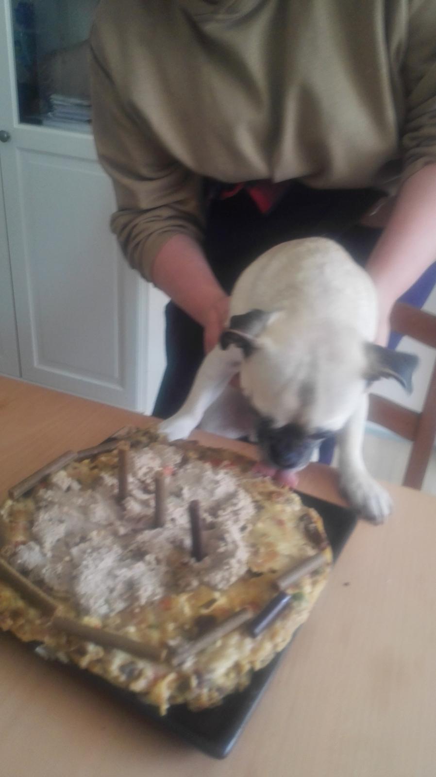 Blanding af racer Mogens billede 21