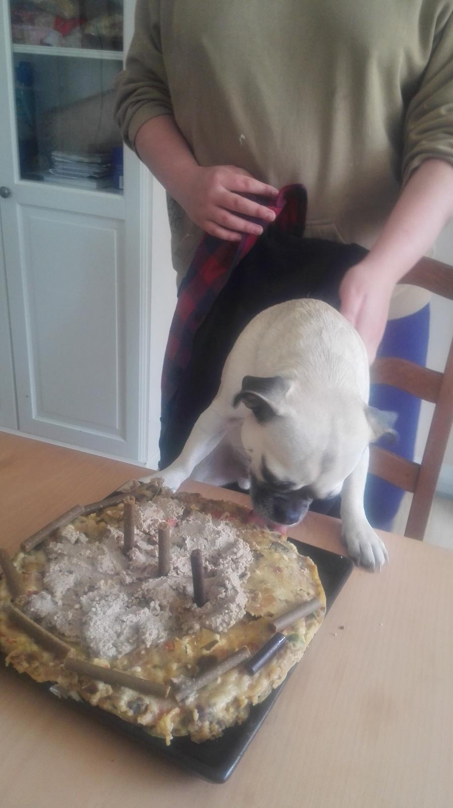 Blanding af racer Mogens billede 18