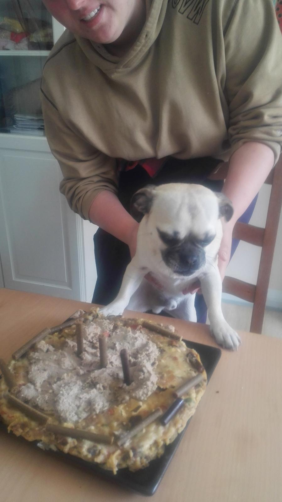 Blanding af racer Mogens billede 22