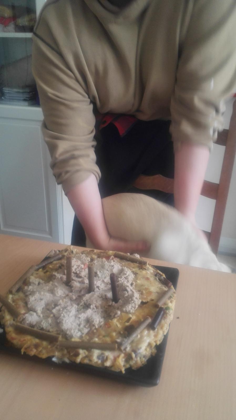 Blanding af racer Mogens billede 23