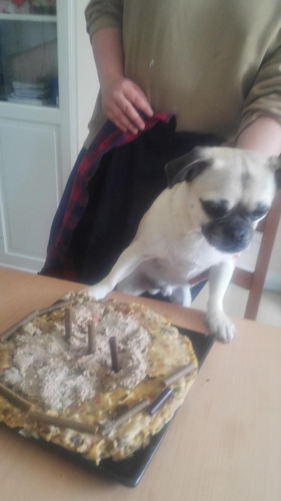 Blanding af racer Mogens billede 19