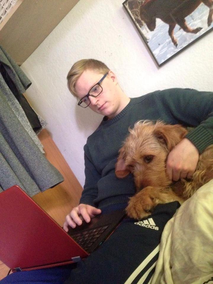 Blanding af racer Hilda billede 14