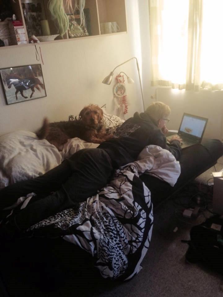 Blanding af racer Hilda billede 17