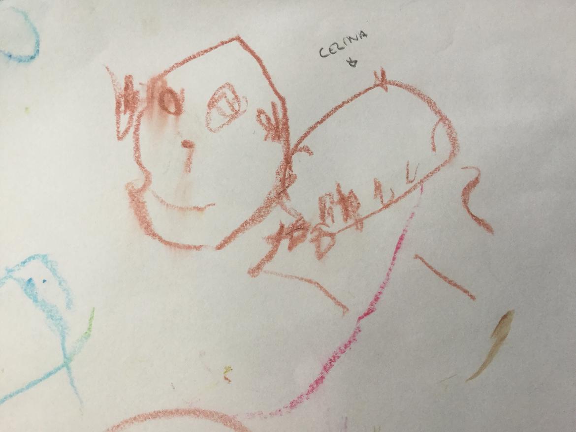 Mops Celina billede 24