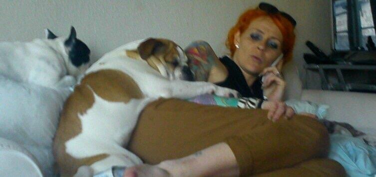 Fransk bulldog Ania billede 11