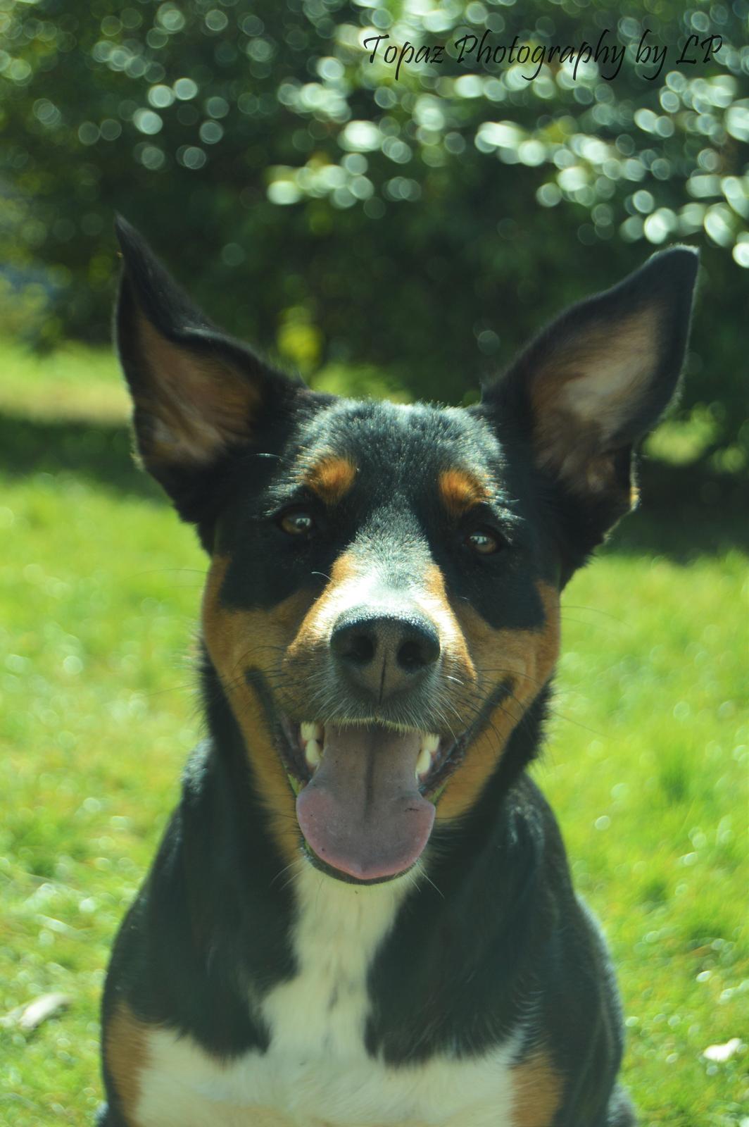 Blanding af racer Emma - Maj 2016, prinsessen i profil <3 billede 7