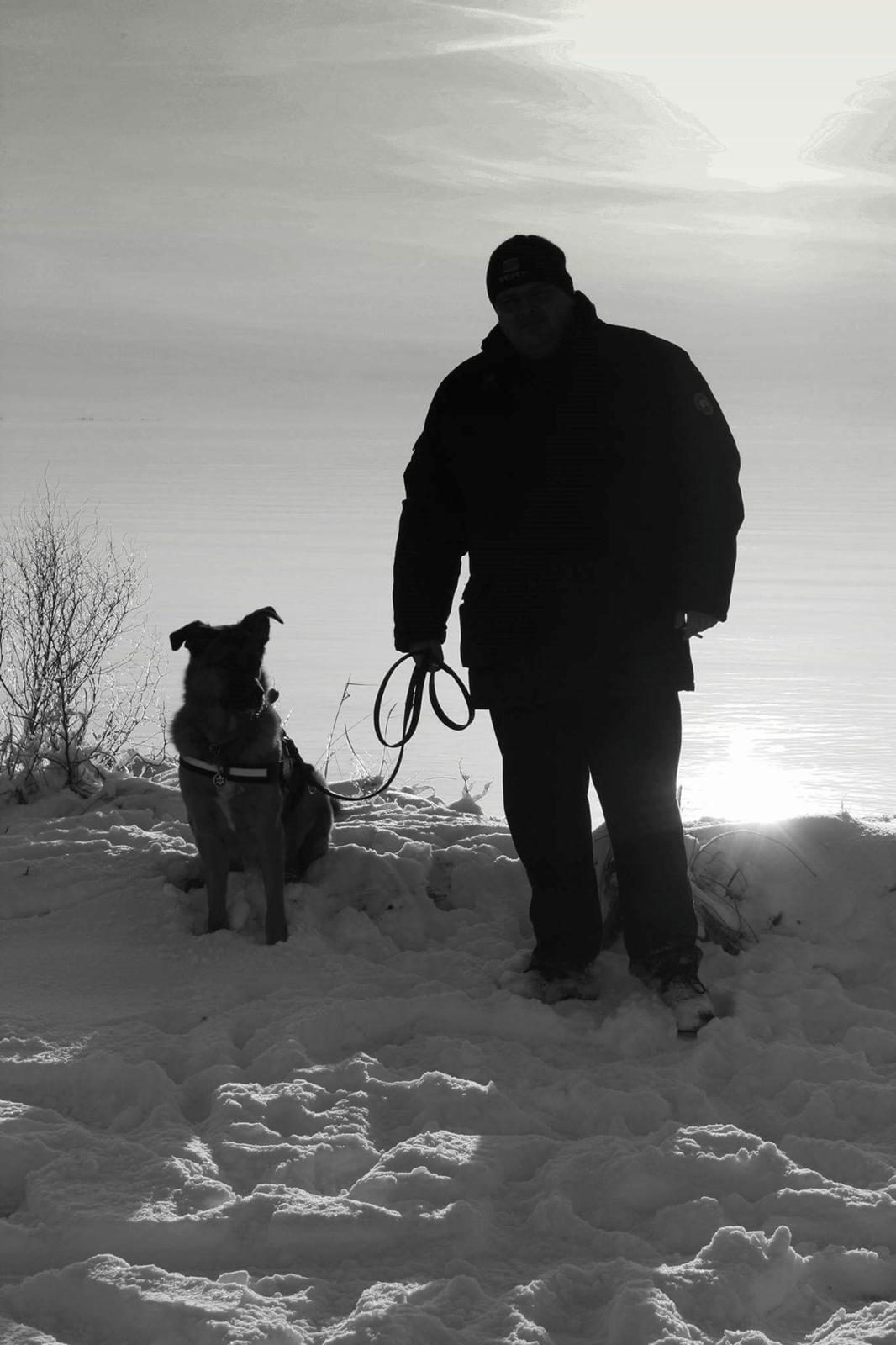 Blanding af racer Oscar billede 34