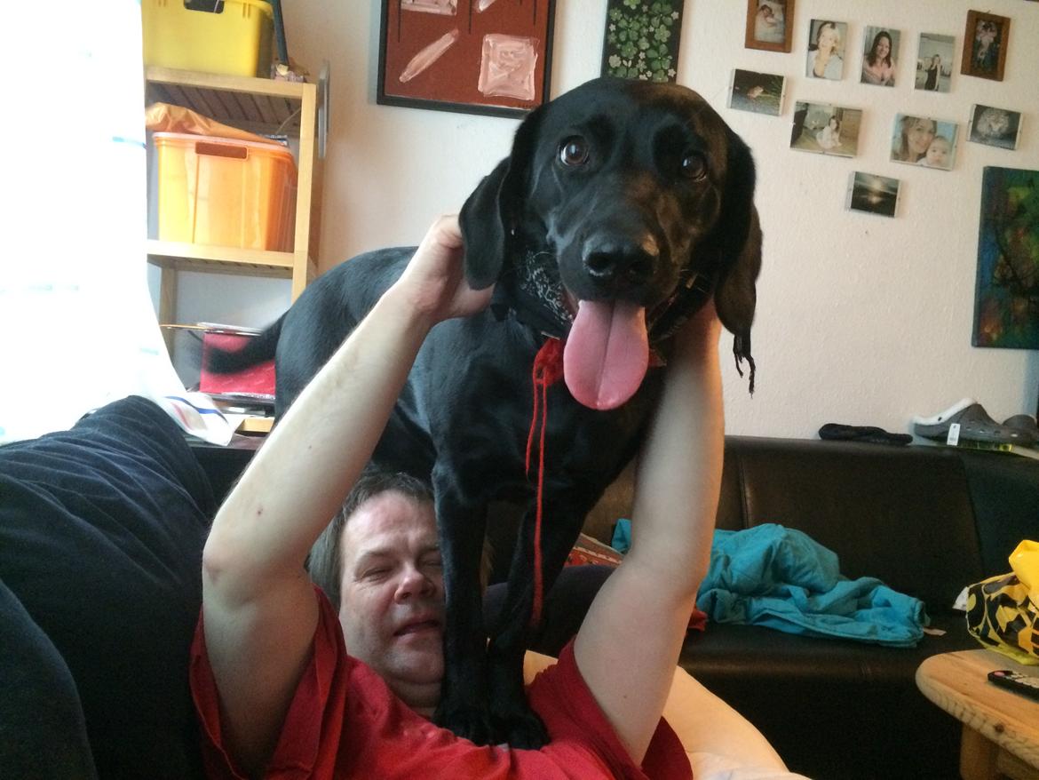 Blanding af racer Trixie - Ja, her er min "kæreste" eller tante Richard som mor siger. Far siger kæreste fordi jeg er så glad i mors ven der kommer ganske tit fra Norge på besøg billede 34