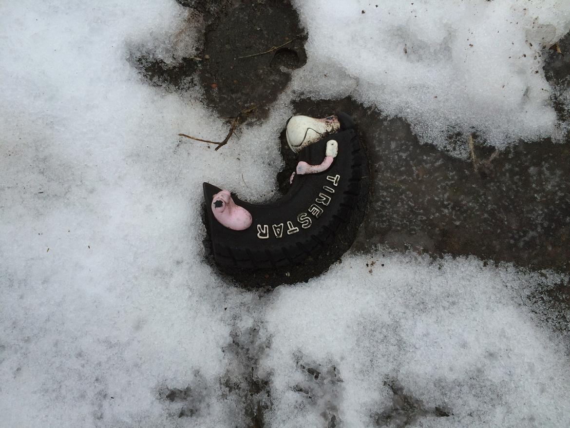 Blanding af racer Trixie - Jeg har så mange legetøj at sommetider lægger jeg de udenfor billede 36