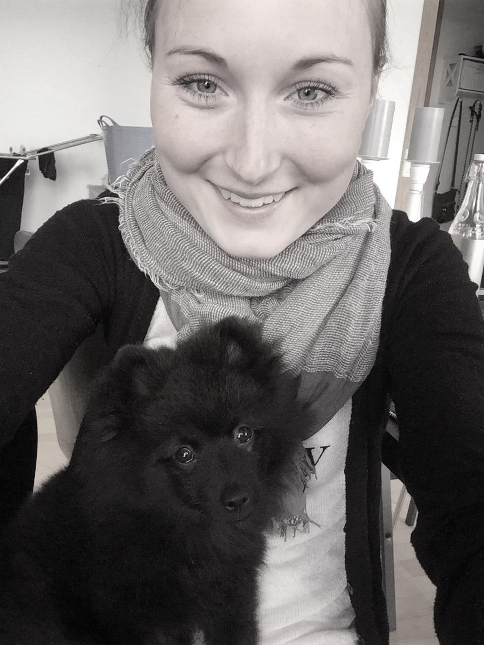 Kleinspitz Von-Spitzie's Gizmo billede 16