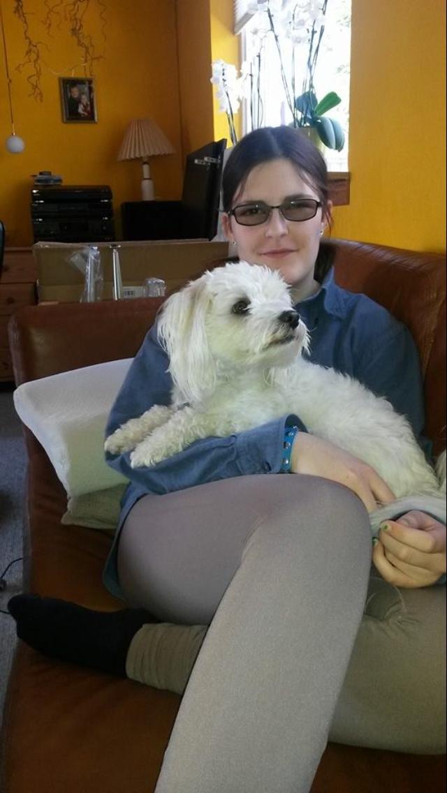 Coton de tulear Oskar billede 6