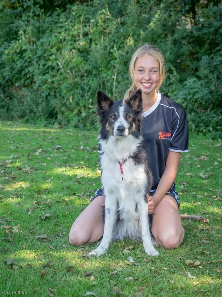 Border collie Laika - Prinsessen og jeg <3 billede 13