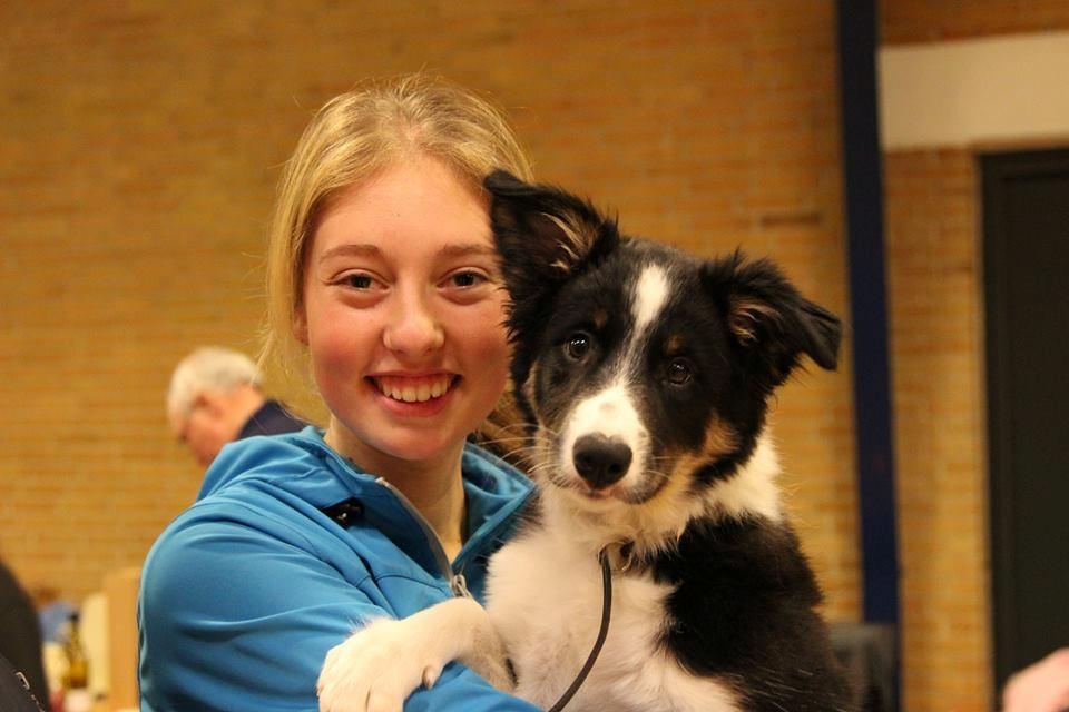 Border collie Mayzie  - Prinsesse <3 billede 20