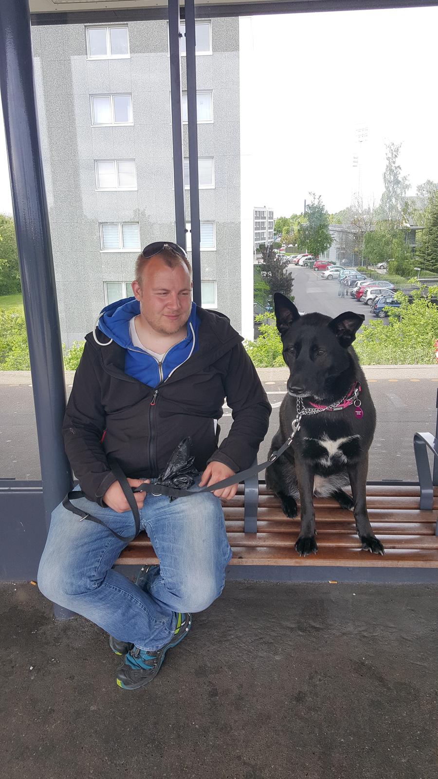 Blanding af racer Asti billede 4