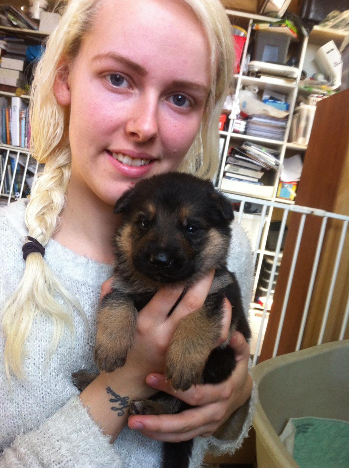 Schæferhund Milo - Milo og jeg :-) billede 2