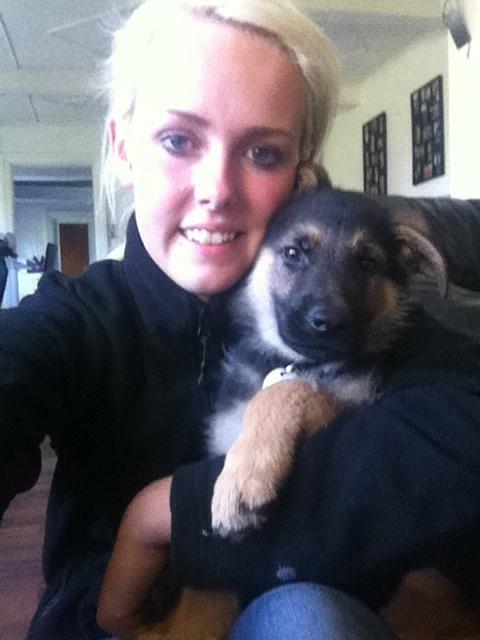 Schæferhund Milo - Milo ca. 10 uger :-) billede 14