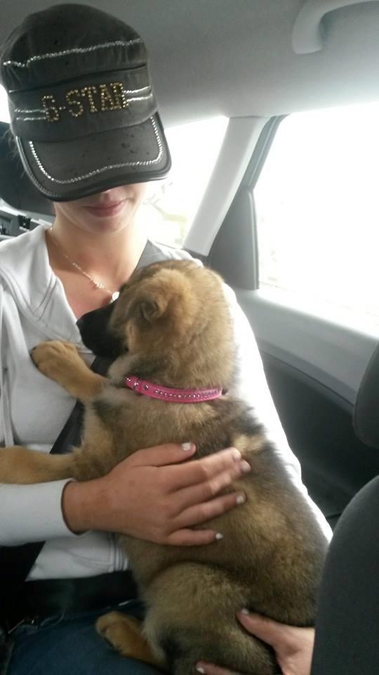 Schæferhund Gabby - Gabby og mig selv billede 11