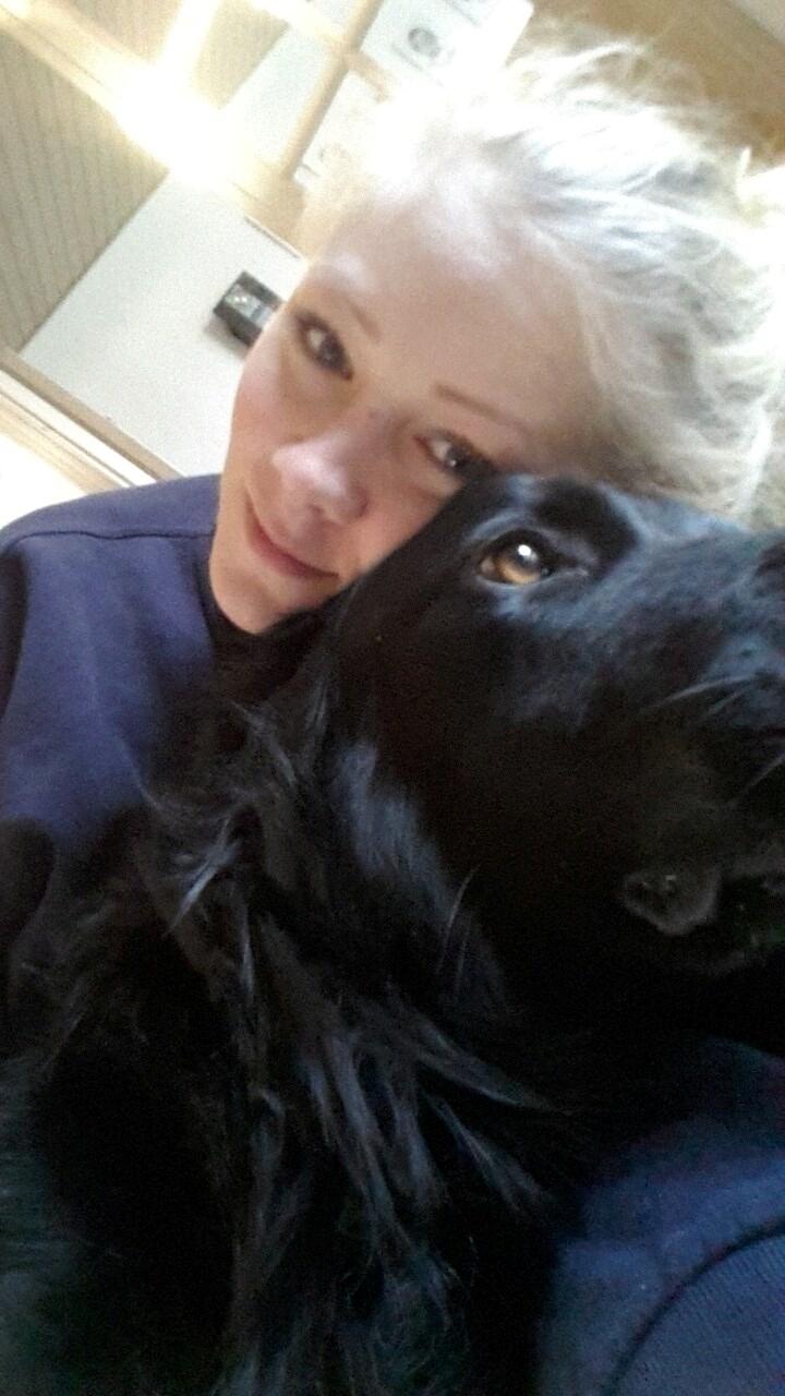 Hovawart Samson <3 billede 16