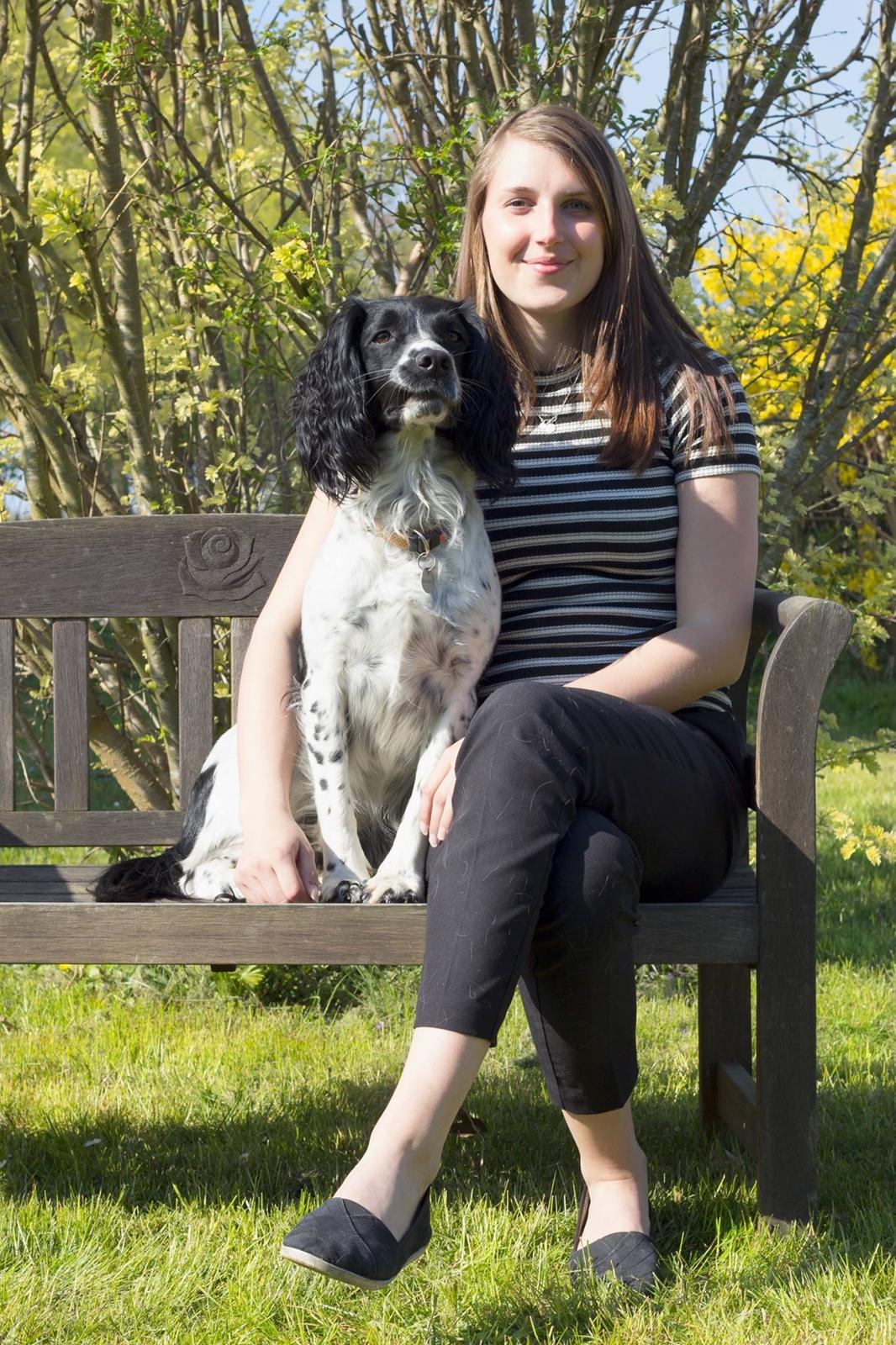 Engelsk springer spaniel Liva billede 6
