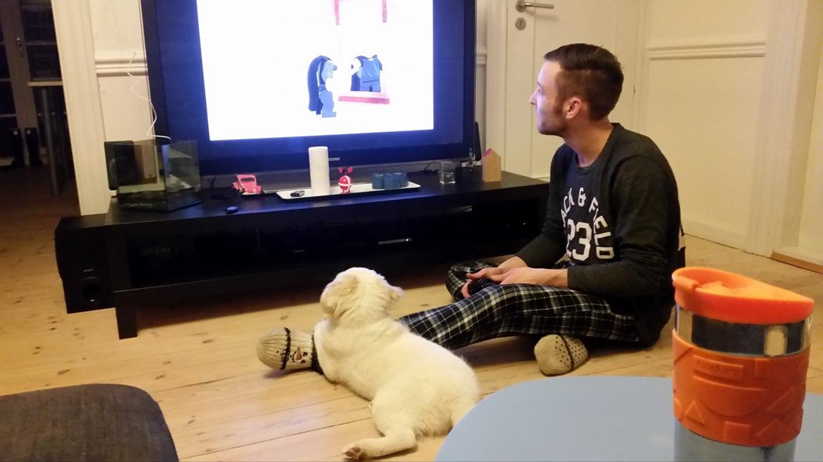 Blanding af racer Esther *Himmelhund* - Harry Potter-hund billede 9