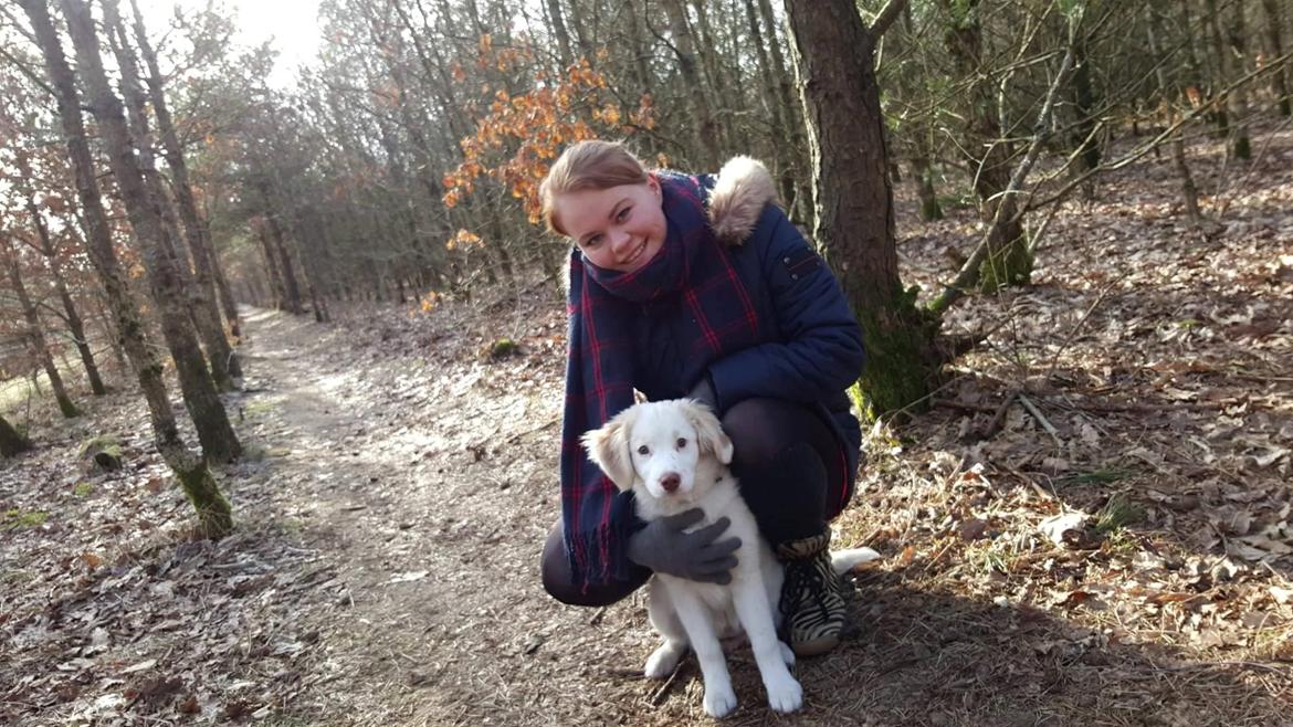 Blanding af racer Esther *Himmelhund* billede 6