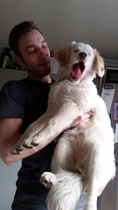 Blanding af racer Esther *Himmelhund* - En træt Esther på fars arm billede 7