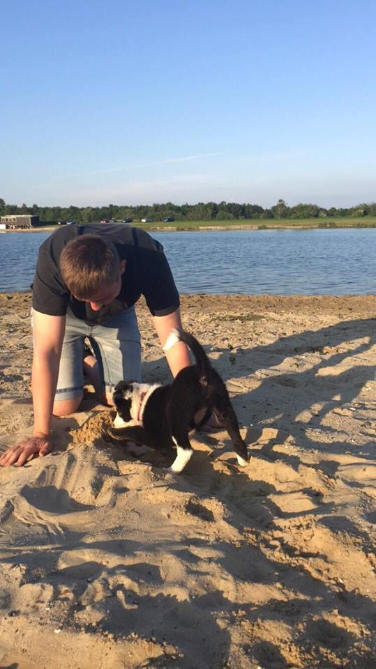 Border collie Hollie - Hyggestund ved stranden med "far" billede 17