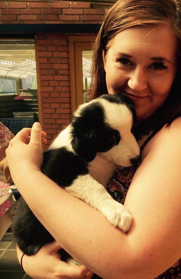 Border collie Hollie - Hollie 7 uger - da jeg var for at se hende billede 21