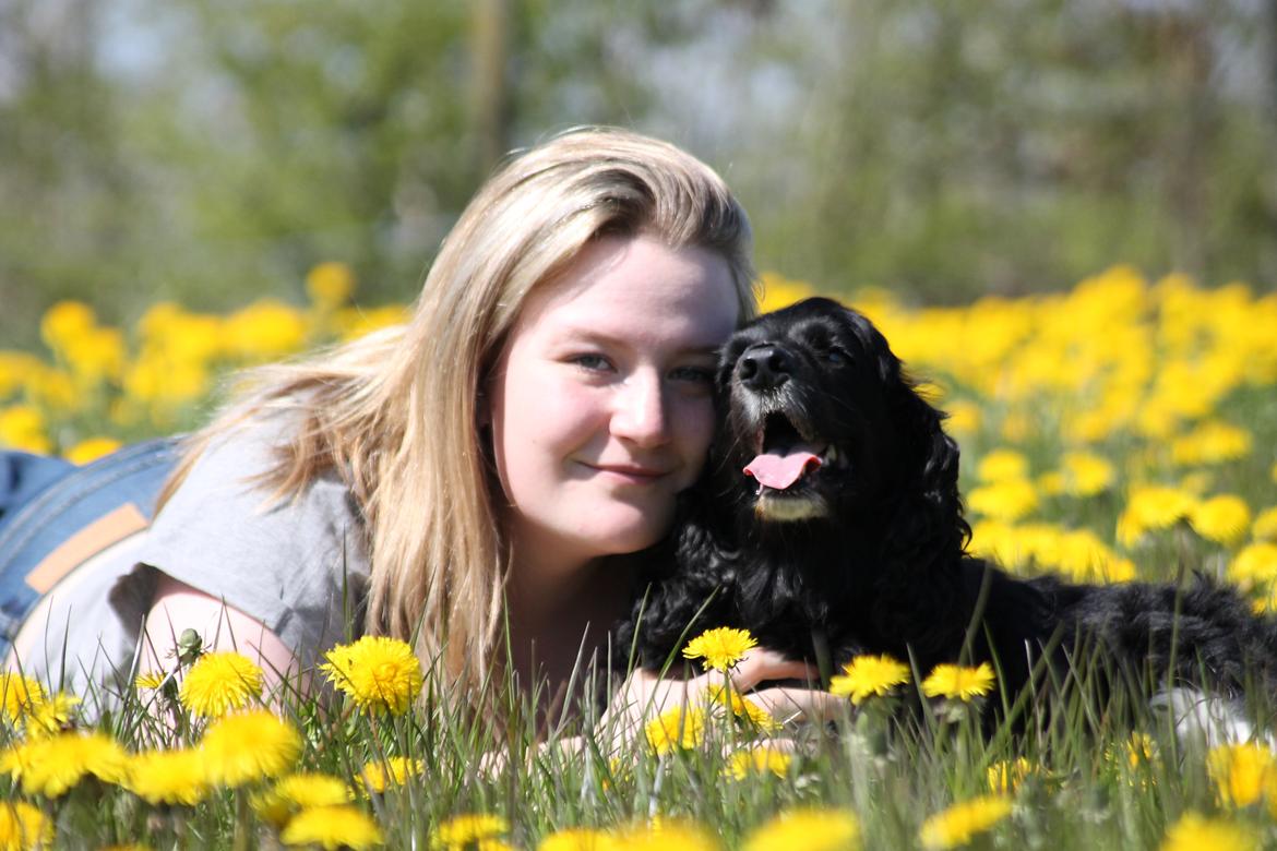 Blanding af racer Cleo billede 1