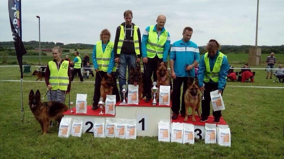 Schæferhund Nikita billede 40