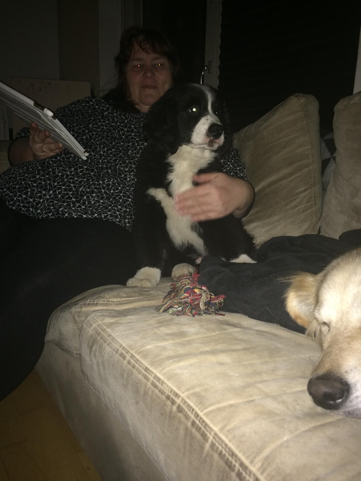 Blanding af racer Anton billede 20